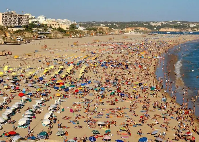 Apartment Da Rocha, 601 Faia, Lovely Studio, Pool, Air Conditioning And Free Wifi, By Ig